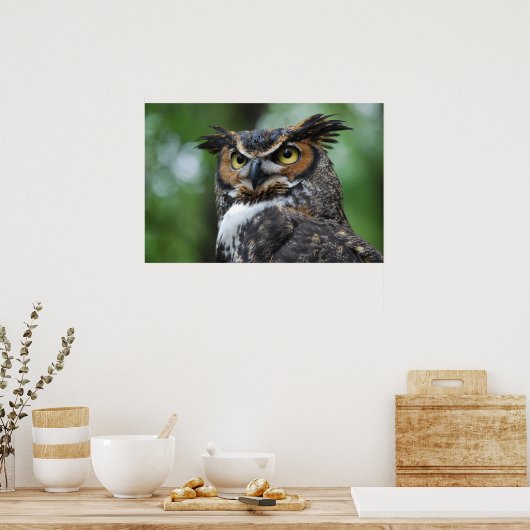 Grote struikvogel poster (Keuken)