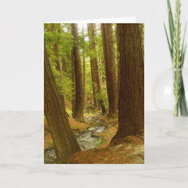 Grote Sur, Californië Kaart