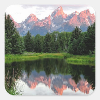 Grote Teton reflecteert over de Beaver-obligatie Vierkante Sticker