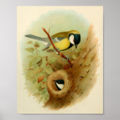 Grote tiet- Kleurrijke vogel, Kunst Poster (Voorkant)
