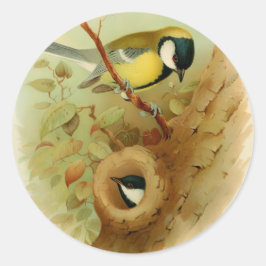 Grote tiet- Kleurrijke vogel, Kunst Ronde Sticker