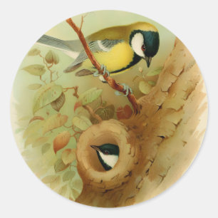 Grote tiet- Kleurrijke vogel, Kunst Ronde Sticker