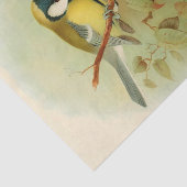 Grote tiet- Kleurrijke vogel, Kunst Tissuepapier (Detail)