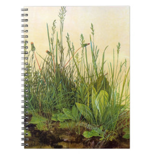 Grote Turf - Albrecht Durer - c1503 Notitieboek