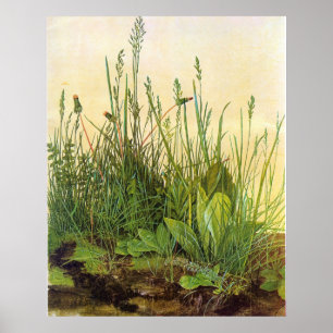 Grote Turf - Albrecht Durer - c1503 Poster