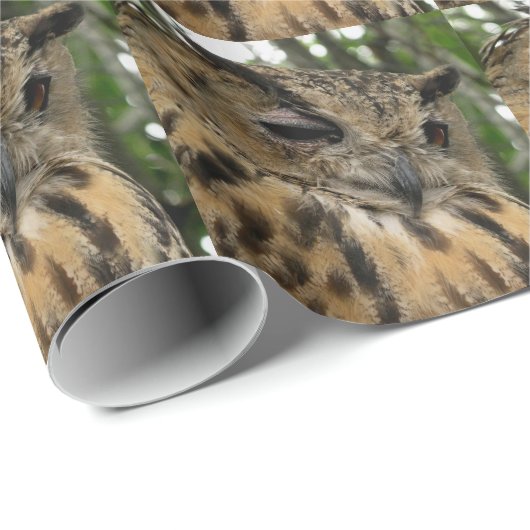 Grote Uil Bubo Bubo Boo- Halloween-serie Cadeaupapier (Rol Hoek)