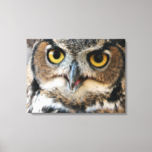 Grote Uil (Bubo virginianus) Canvas Afdruk