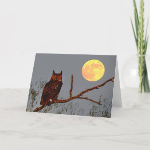 Grote Uil   Volle Maan Kaart