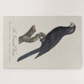 Grote vasapapegaai, Coracopsis Vasa Illustratie Legpuzzel (Horizontaal)