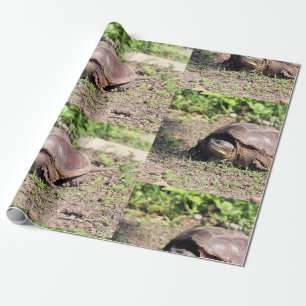 Grote vent cadeaupapier