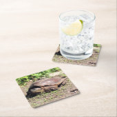 Grote vent vierkante kartonnen onderzetter (Insitu)