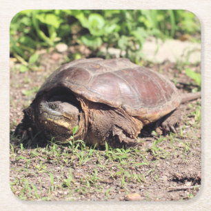 Grote vent vierkante kartonnen onderzetter