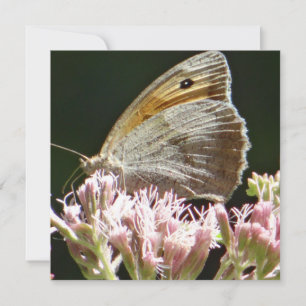 grote vlinderplatte kaart
