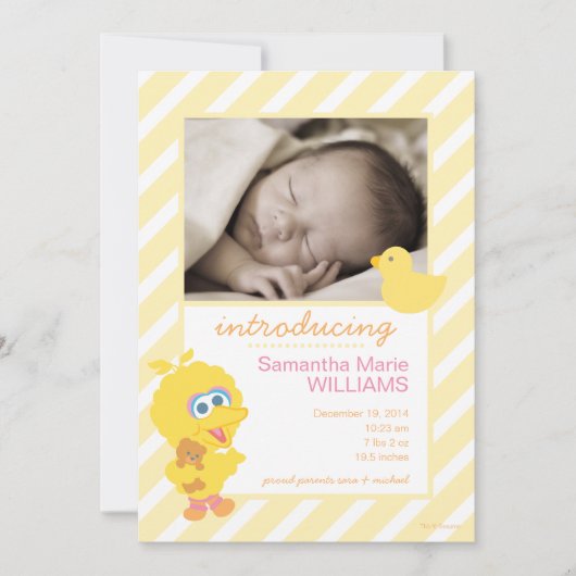 Grote Vogel Geboorteaankondiging Aankondiging (Voorkant)