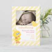 Grote Vogel Geboorteaankondiging Aankondiging (Staand voorkant)