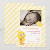 Grote Vogel Geboorteaankondiging Aankondiging (Voorkant / Achterkant)