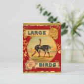 Grote vogels briefkaart (Staand voorkant)