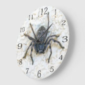 Grote Vrouw Huntsman Spider Klok (Hoek)