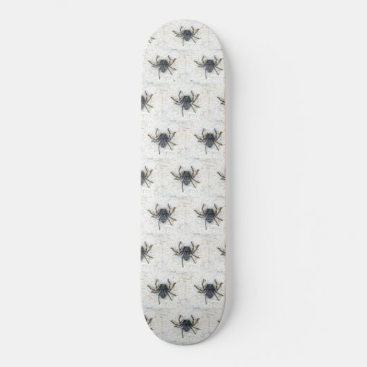 Grote Vrouw Huntsman Spider Skateboard (Voorkant)