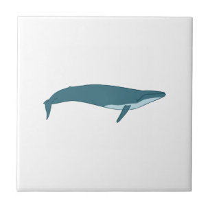 Grote walvis tegeltje