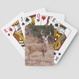 Grote Wilde Bok Herten Grote Geweien Texas Herten Pokerkaarten