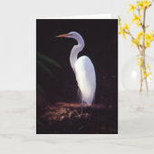 Grote Witte Aigrette Kaart (Gele Bloem)