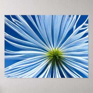 Grote witte bloem met blauwe lucht poster