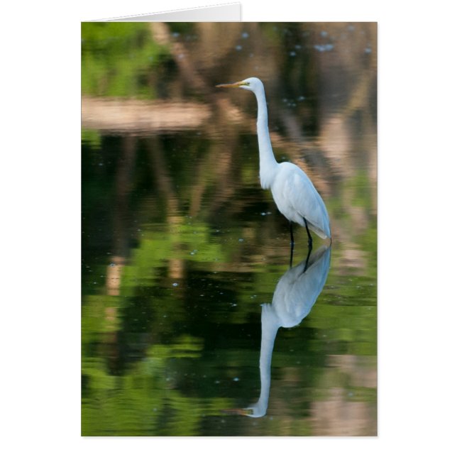 Grote witte grot (Voorkant)