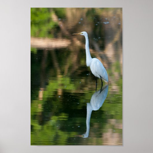 Grote witte grot poster (Voorkant)