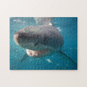 Grote witte haai, 252 stuks legpuzzel