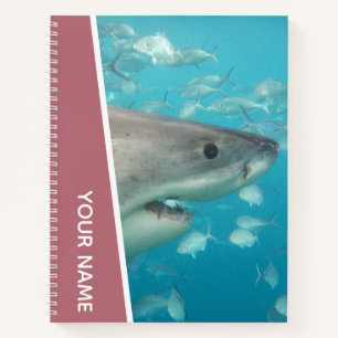 Grote Witte Haai Australië Oceaan Thema, Roze Goud Notitieboek