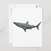 Grote witte haai briefkaart (Voorkant / Achterkant)