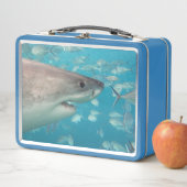 Grote witte haai dicht bij Ocean Australia (In situ)