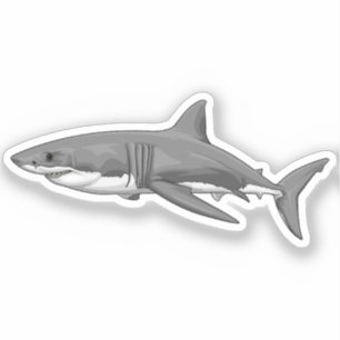 Grote witte haai sticker