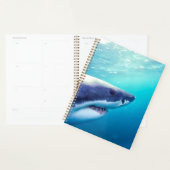 Grote witte haai | Zuid-Afrika Planner (Display)