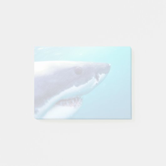 Grote witte haai | Zuid-Afrika Post-it® Notes (Voorkant)