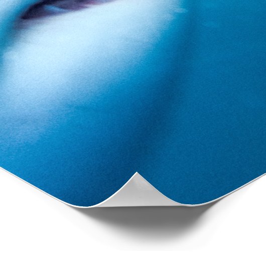 Grote witte haai | Zuid-Afrika Poster (Hoek)