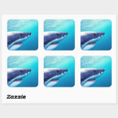 Grote witte haai | Zuid-Afrika Vierkante Sticker (Vel)