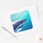 Grote witte haai | Zuid-Afrika Vierkante Sticker (Envelop)