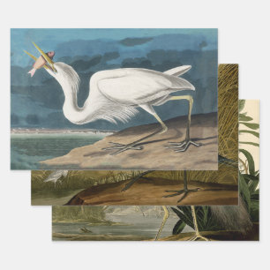 Grote Witte Heron Audubon Vogel Wildlife Painting Inpakpapier Vel