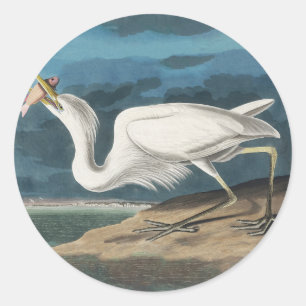 Grote Witte Heron Audubon Vogel Wildlife Painting Ronde Sticker