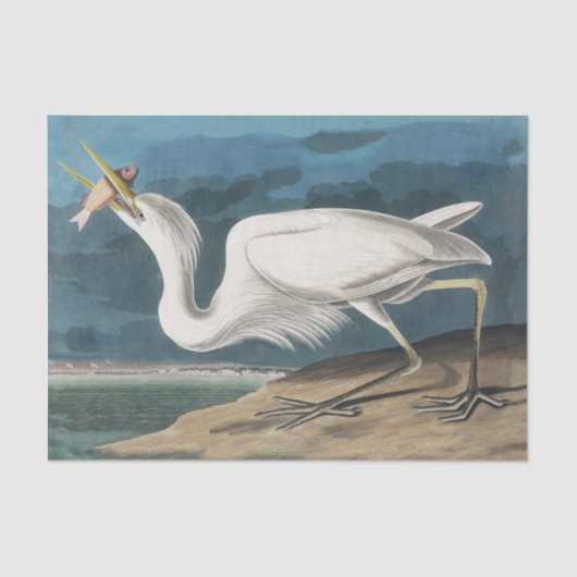 Grote Witte Heron Audubon Vogel Wildlife Painting Tissuepapier (Voorkant)