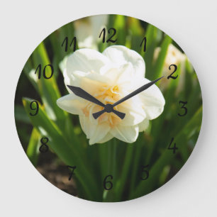 Grote witte narcissen op een lentedag klok