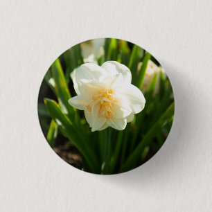 Grote witte narcissen op een lentedag ronde button 3,2 cm