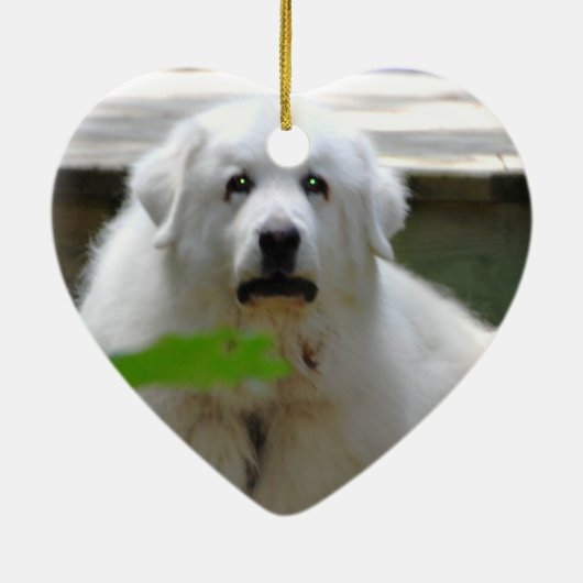 Grote witte Pyreneeën Dog Ornament (Achterkant)