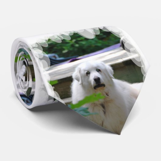 Grote Witte Pyreneeën Dog Stropdas (Opgerold)