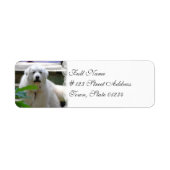 Grote Witte Pyreneeën Hond Mailing Labels (Voorkant)