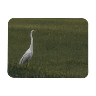 Grote witte reiger Flexibele fotomagneet Magneet