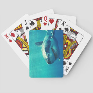 GROTE WITTE SCHERM 1 POKERKAARTEN