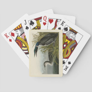 Grote Zeeduiker Loon Vogels van Amerika van Audubo Pokerkaarten